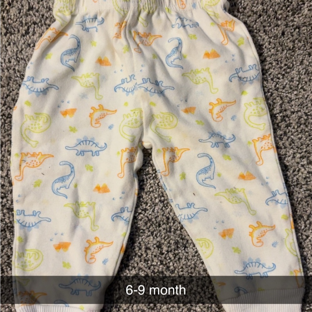 Dinosaur Print Baby Pants